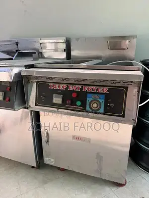 Professional Double and Single Commercial Deep Fryer Kitchen Appliance