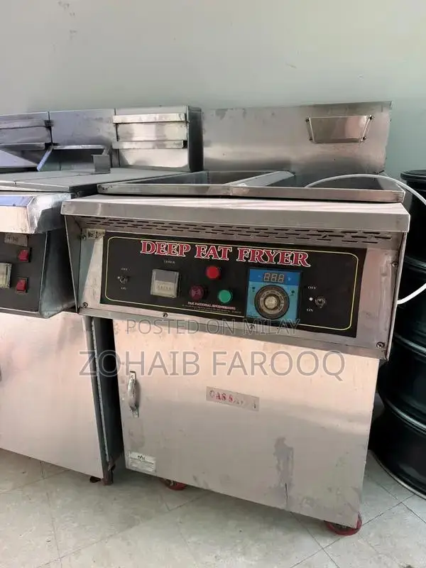 Professional Double and Single Commercial Deep Fryer Kitchen Appliance