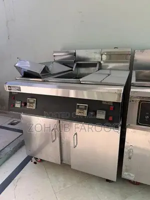 Professional Double and Single Commercial Deep Fryer Kitchen Appliance