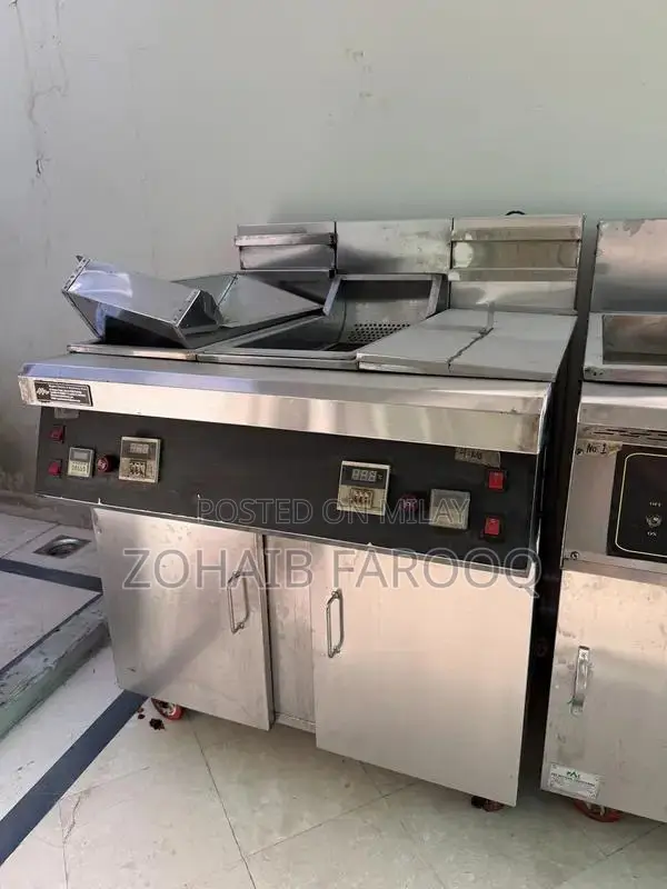 Professional Double and Single Commercial Deep Fryer Kitchen Appliance