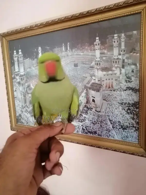 Talking Parrot Pet: Multilingual Mimic Bird