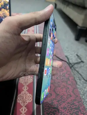 Apple Titanium Smartphone Pro Flagship Model
