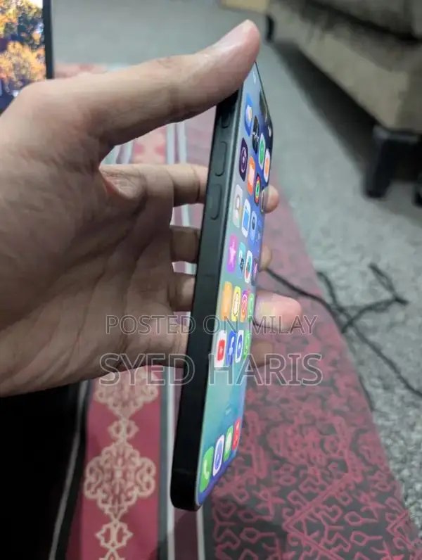 Apple Titanium Smartphone Pro Flagship Model