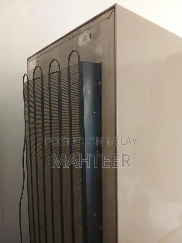 Dawlance Refrigerator - Home Food Preservation Solution