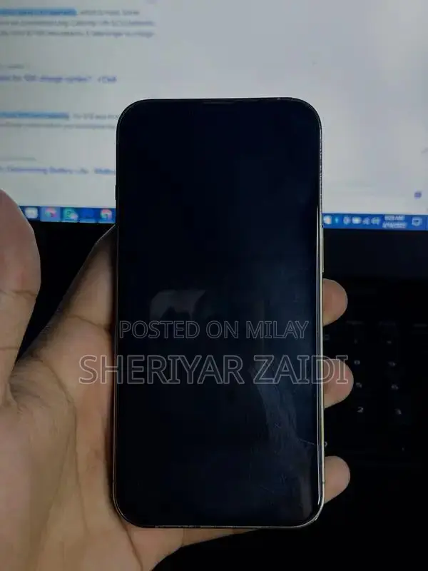 Apple iPhone 13 Pro 1TB Ultra Storage Flagship Smartphone