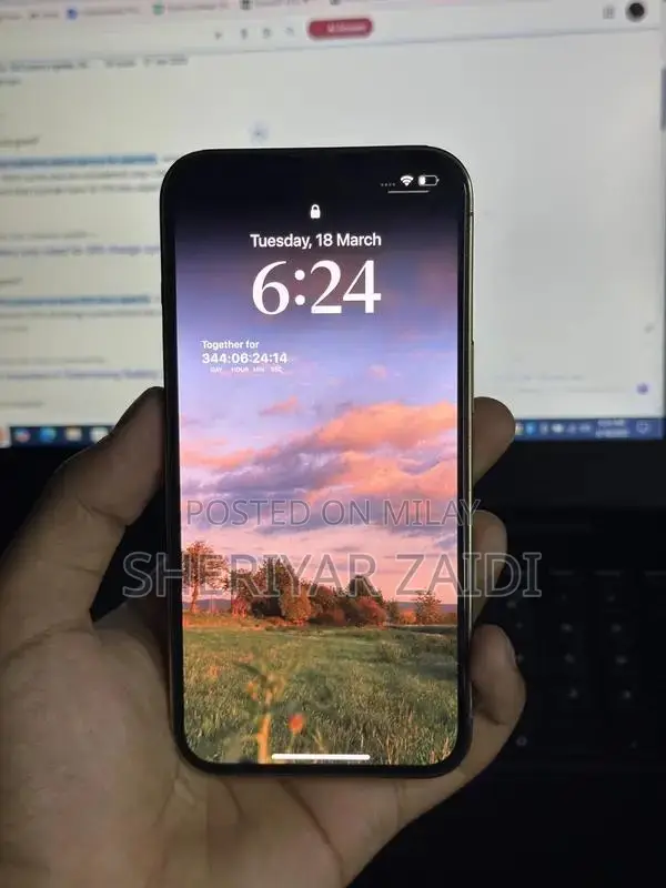 Apple iPhone 13 Pro 1TB Ultra Storage Flagship Smartphone