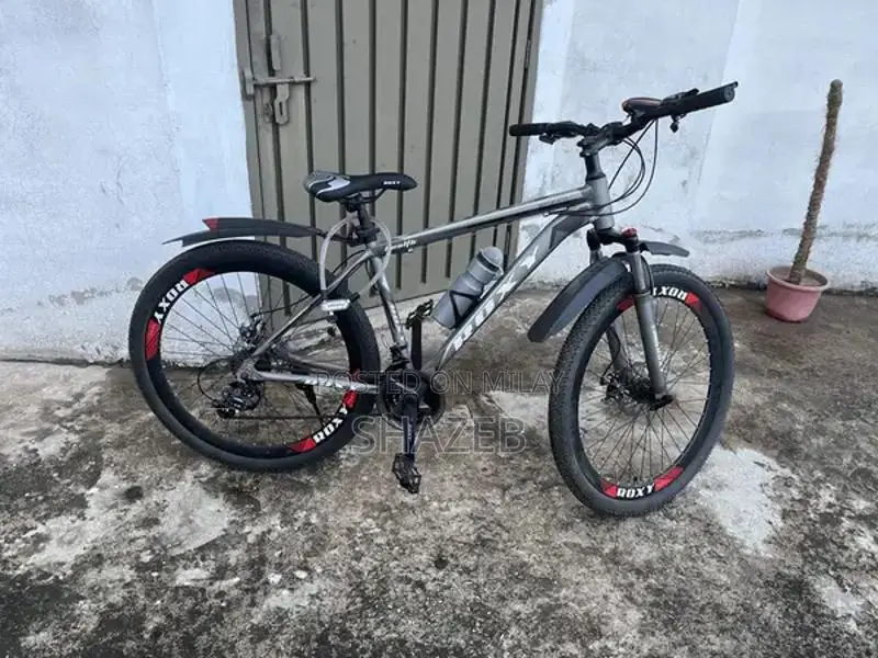 Roxy Cycle Bicycle - New Recreational Bike