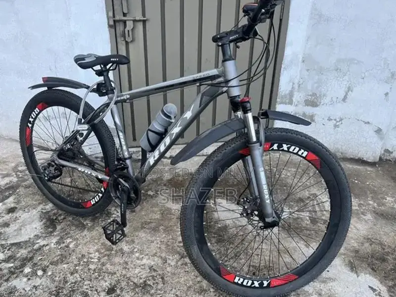 Roxy Cycle Bicycle - New Recreational Bike