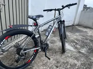 Roxy Cycle Bicycle - New Recreational Bike