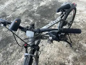 Roxy Cycle Bicycle - New Recreational Bike