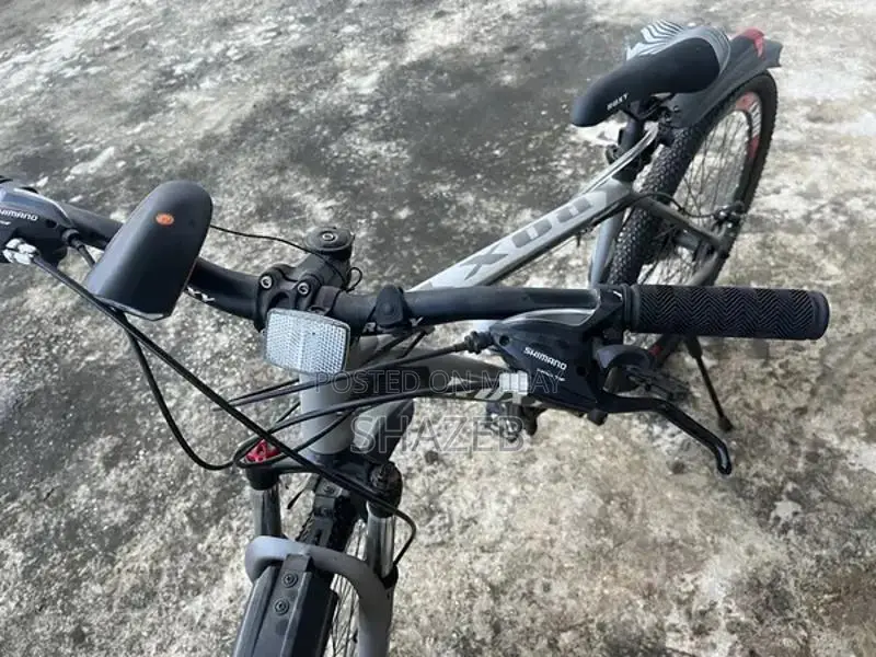 Roxy Cycle Bicycle - New Recreational Bike