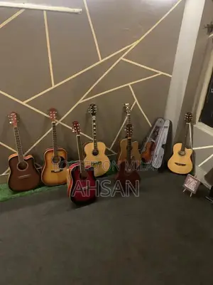 Professional and Beginner Acoustic Guitars - Multiple Styles