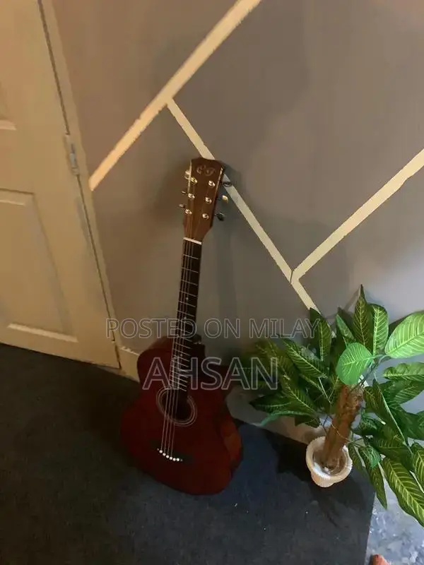 Professional and Beginner Acoustic Guitars - Multiple Styles