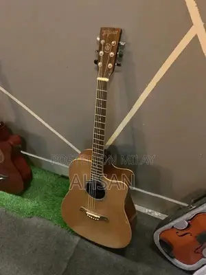 Professional and Beginner Acoustic Guitars - Multiple Styles