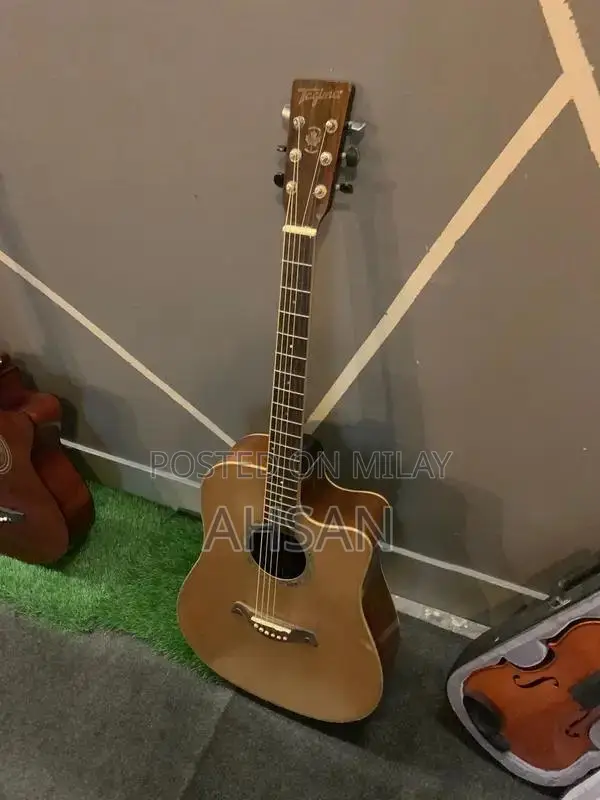 Professional and Beginner Acoustic Guitars - Multiple Styles