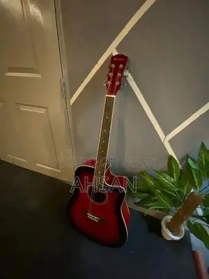 Professional and Beginner Acoustic Guitars - Multiple Styles