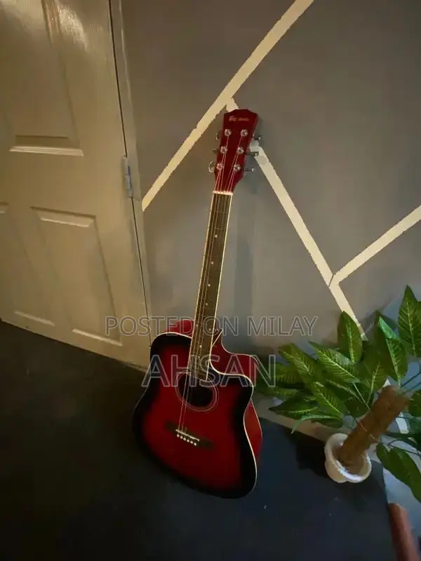 Professional and Beginner Acoustic Guitars - Multiple Styles