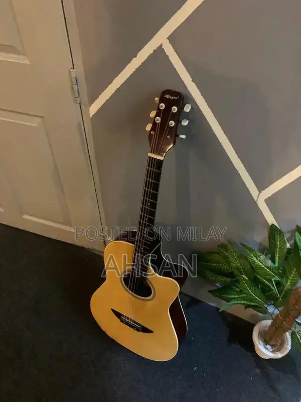 Professional and Beginner Acoustic Guitars - Multiple Styles