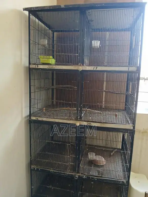 Metal Bird Cage with 8 Compartments for Love Birds