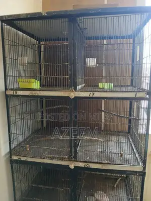 Metal Bird Cage with 8 Compartments for Love Birds