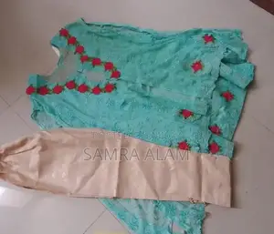 Girls Two-Piece Sky Blue Embroidered Dress with Floral Appliqués