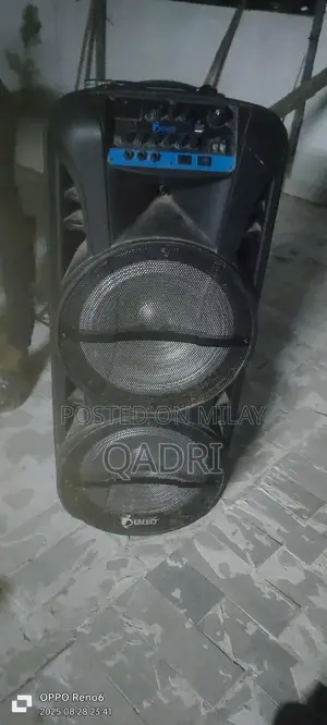 Photo - Portable Dual 12-Inch Rechargeable Wireless Speakers