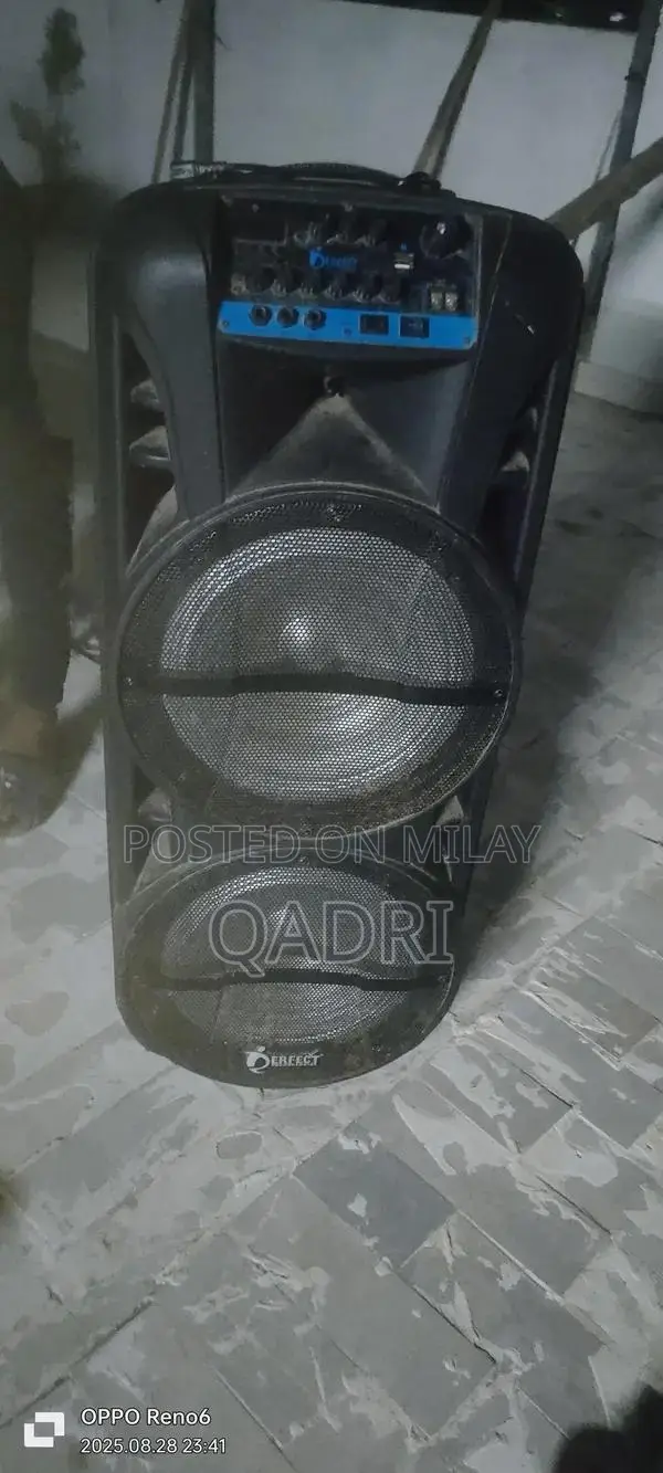 Portable Dual 12-Inch Rechargeable Wireless Speakers