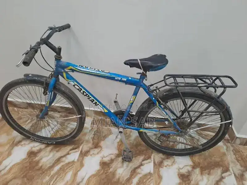 Versatile Cycling Bicycle for Recreational and Urban Riding