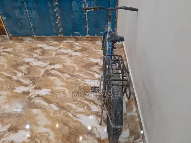 Versatile Cycling Bicycle for Recreational and Urban Riding