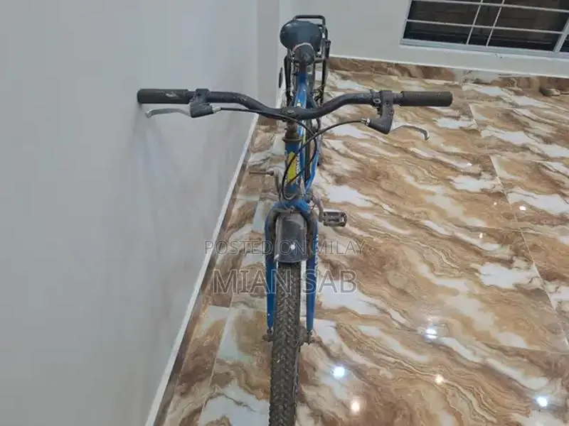 Versatile Cycling Bicycle for Recreational and Urban Riding