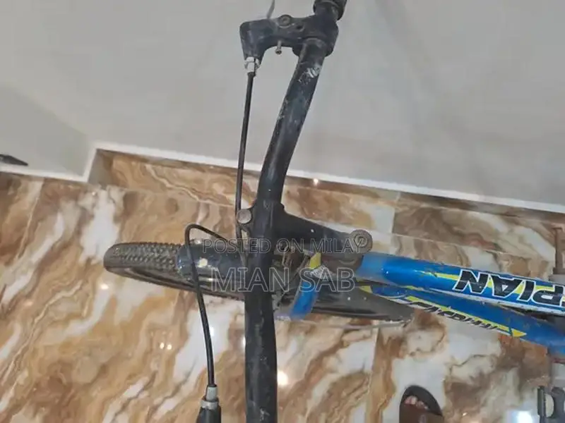 Versatile Cycling Bicycle for Recreational and Urban Riding