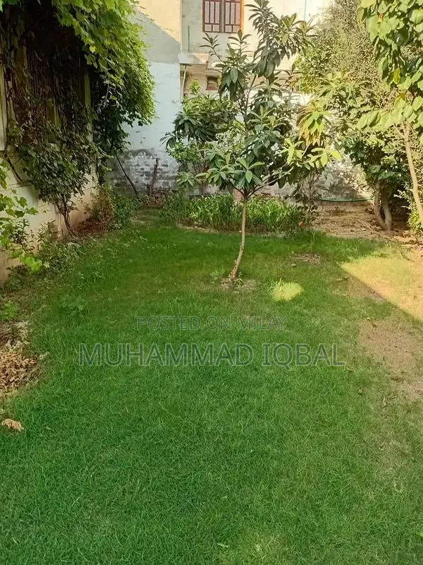 Corner House with High Ceilings and Spacious Rooms