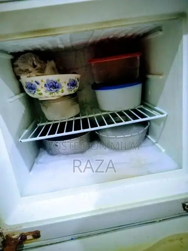 Cooling Refrigerator - Efficient Home Appliance