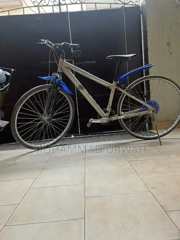 10-Speed Bicycle in Excellent Condition