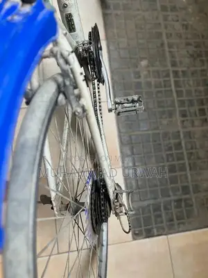 10-Speed Bicycle in Excellent Condition