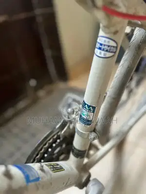 10-Speed Bicycle in Excellent Condition