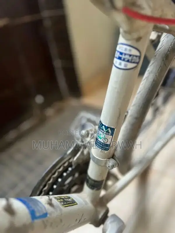 10-Speed Bicycle in Excellent Condition