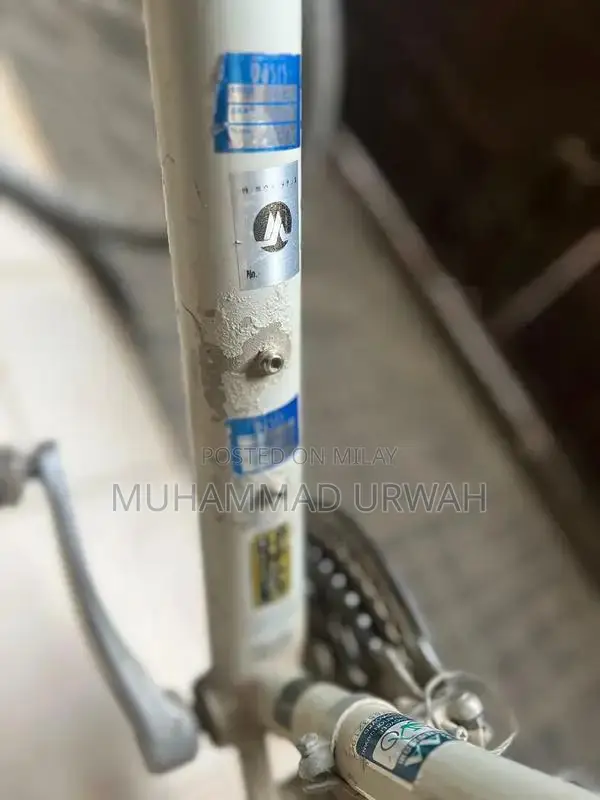 10-Speed Bicycle in Excellent Condition