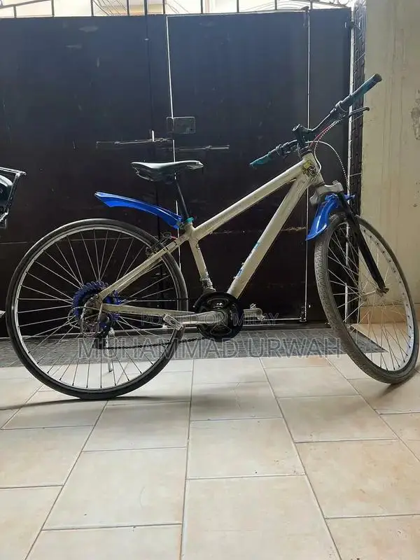 10-Speed Bicycle in Excellent Condition