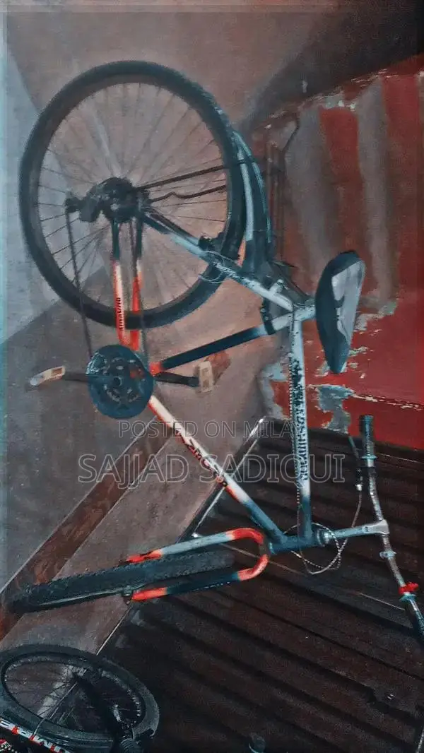 Affordable Bicycle for Urban Commuting and Leisure Rides