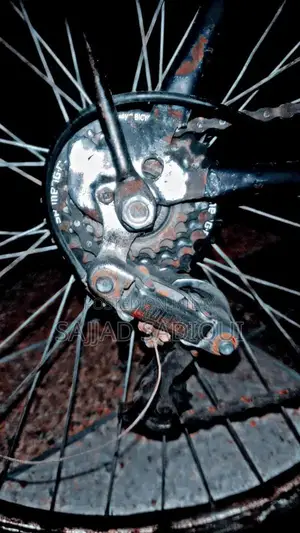 Affordable Bicycle for Urban Commuting and Leisure Rides