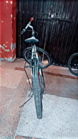 Affordable Bicycle for Urban Commuting and Leisure Rides