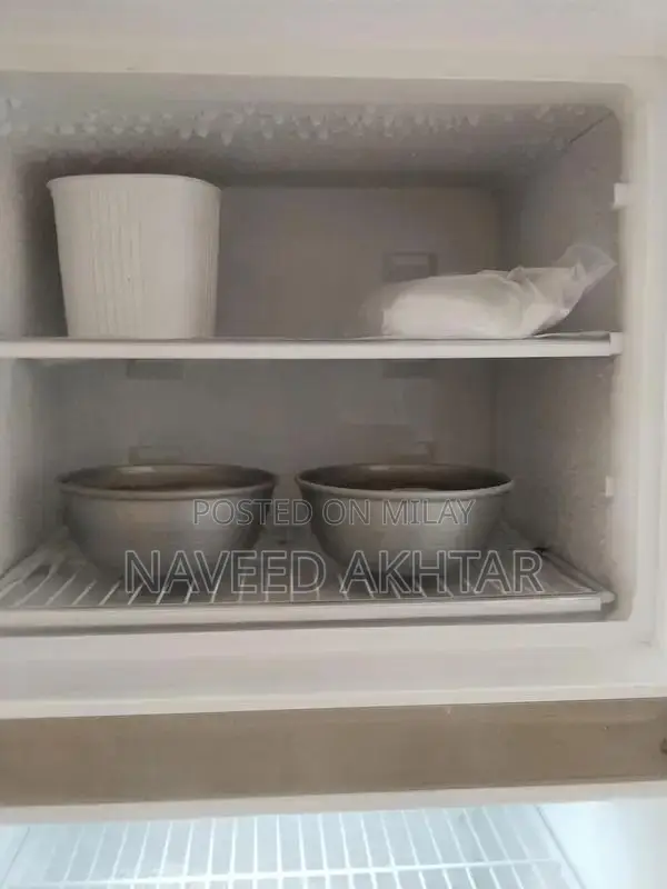 Dawlance Double Door Golden Refrigerator - Medium Size