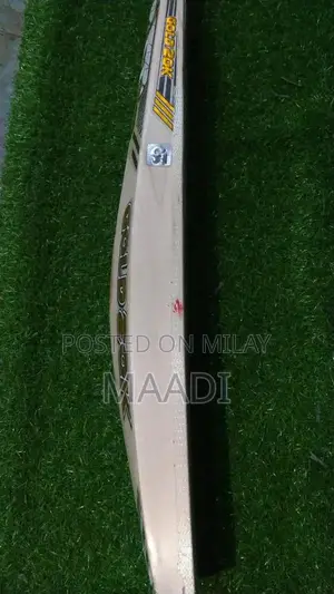 CA 20K Professional Cricket Batting Bat