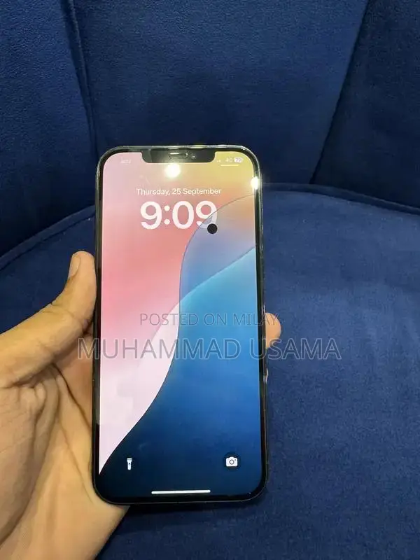 Apple iPhone 12 Pro Max Dual SIM Smartphone 256GB