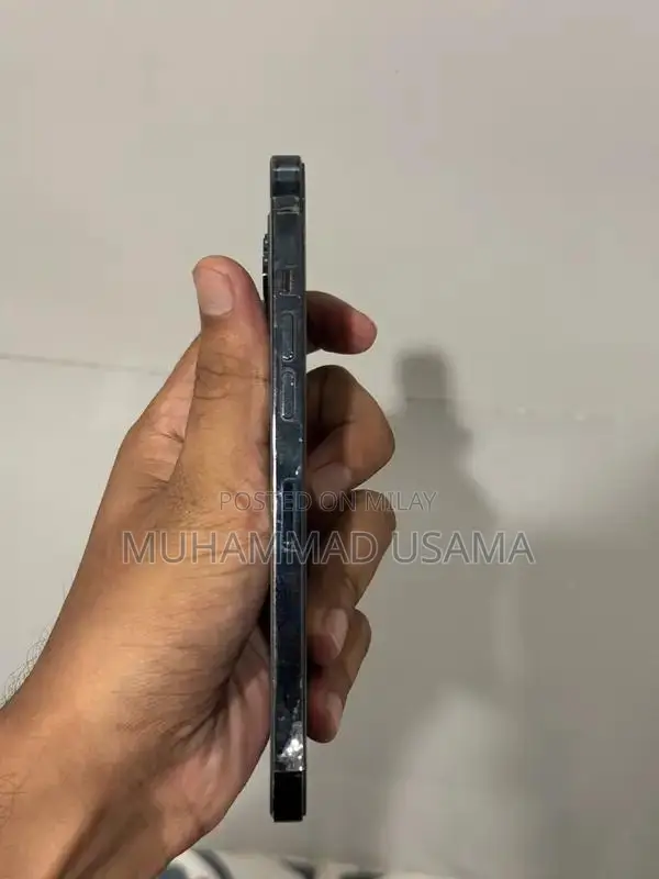 Apple iPhone 12 Pro Max Dual SIM Smartphone 256GB