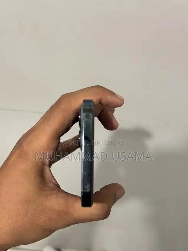 Apple iPhone 12 Pro Max Dual SIM Smartphone 256GB