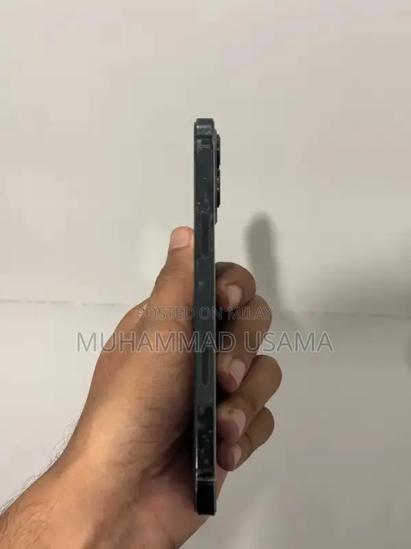 Apple iPhone 12 Pro Max Dual SIM Smartphone 256GB