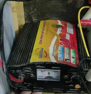 High-Performance 20A Fast Battery Charger for Professional Use