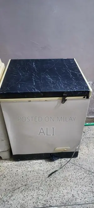 Photo - Single Door Deep Freezer with Genuine Compressor